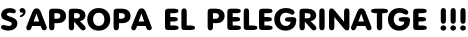 S’APROPA EL PELEGRINATGE !!!